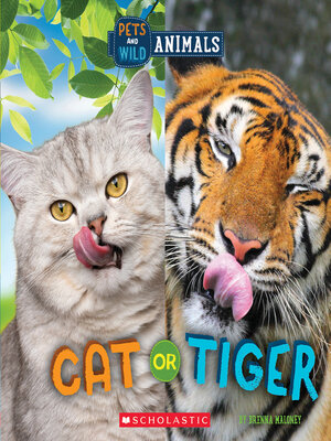 Cat or Tiger - ebook